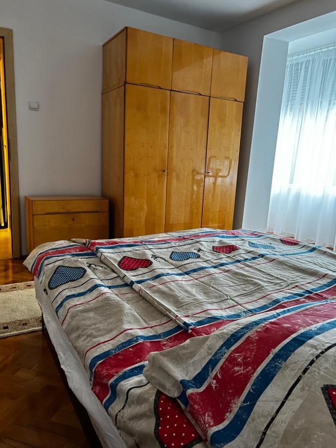 Noreea Central Apartment 티미쇼아라 외부 사진