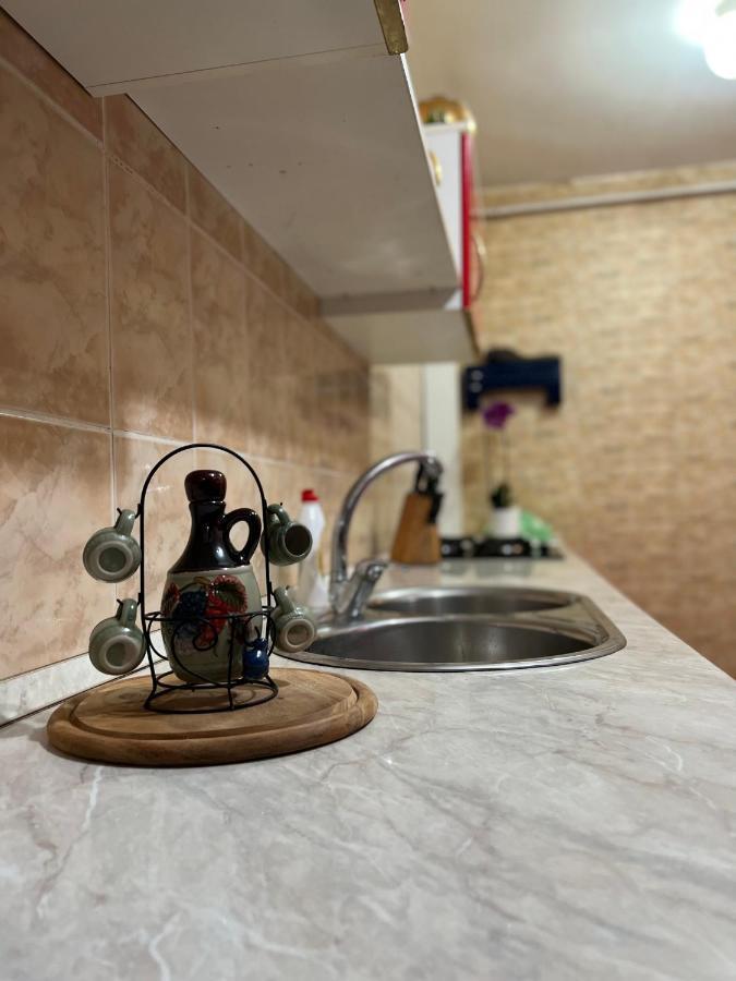 Noreea Central Apartment 티미쇼아라 외부 사진