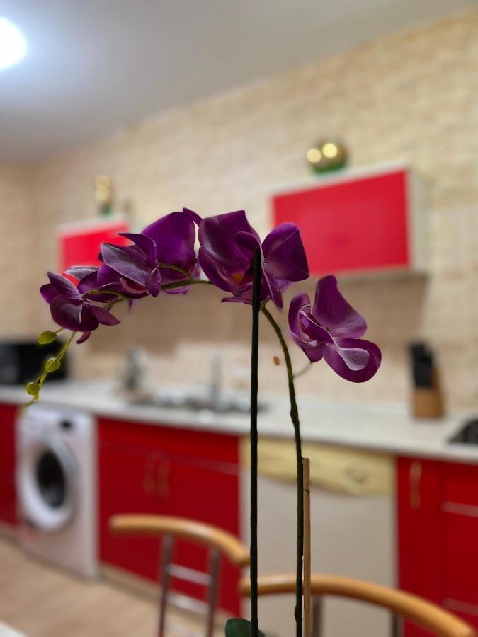 Noreea Central Apartment 티미쇼아라 외부 사진