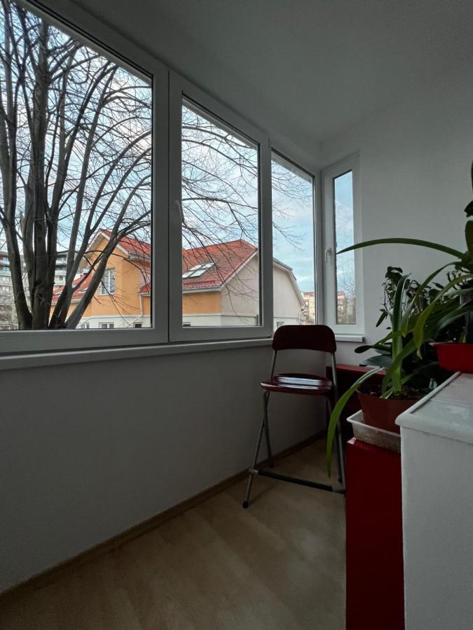 Noreea Central Apartment 티미쇼아라 외부 사진