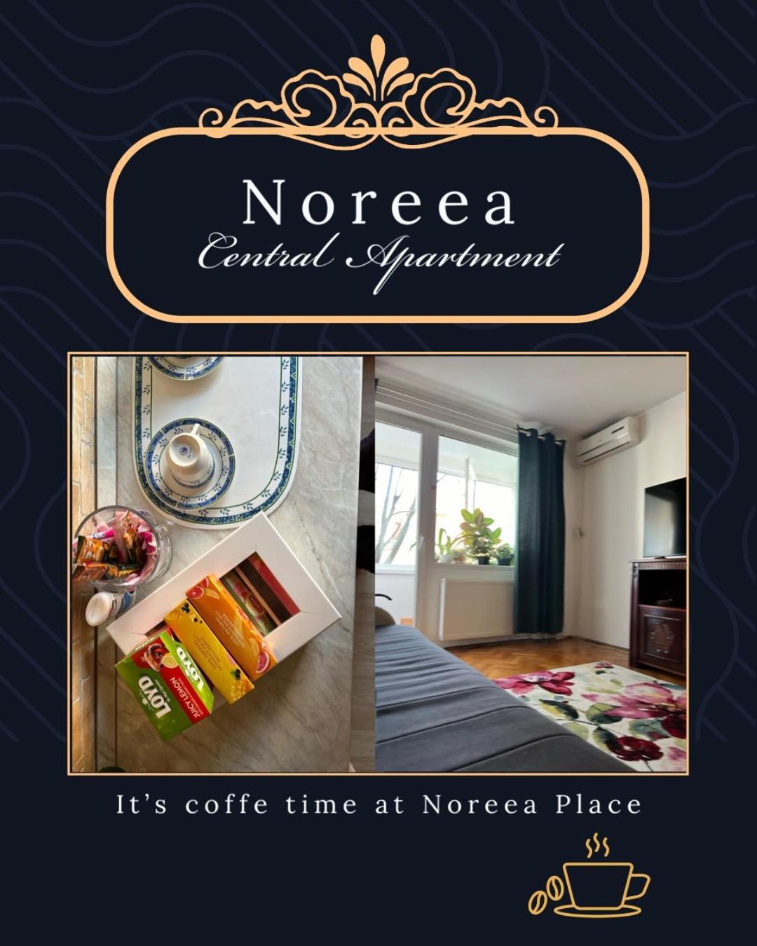 Noreea Central Apartment 티미쇼아라 외부 사진